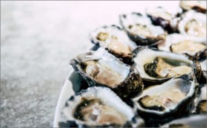 Find Your Favorite Oyster Spot