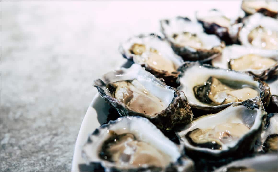 Read more about the article Find Your Favorite Oyster Spot