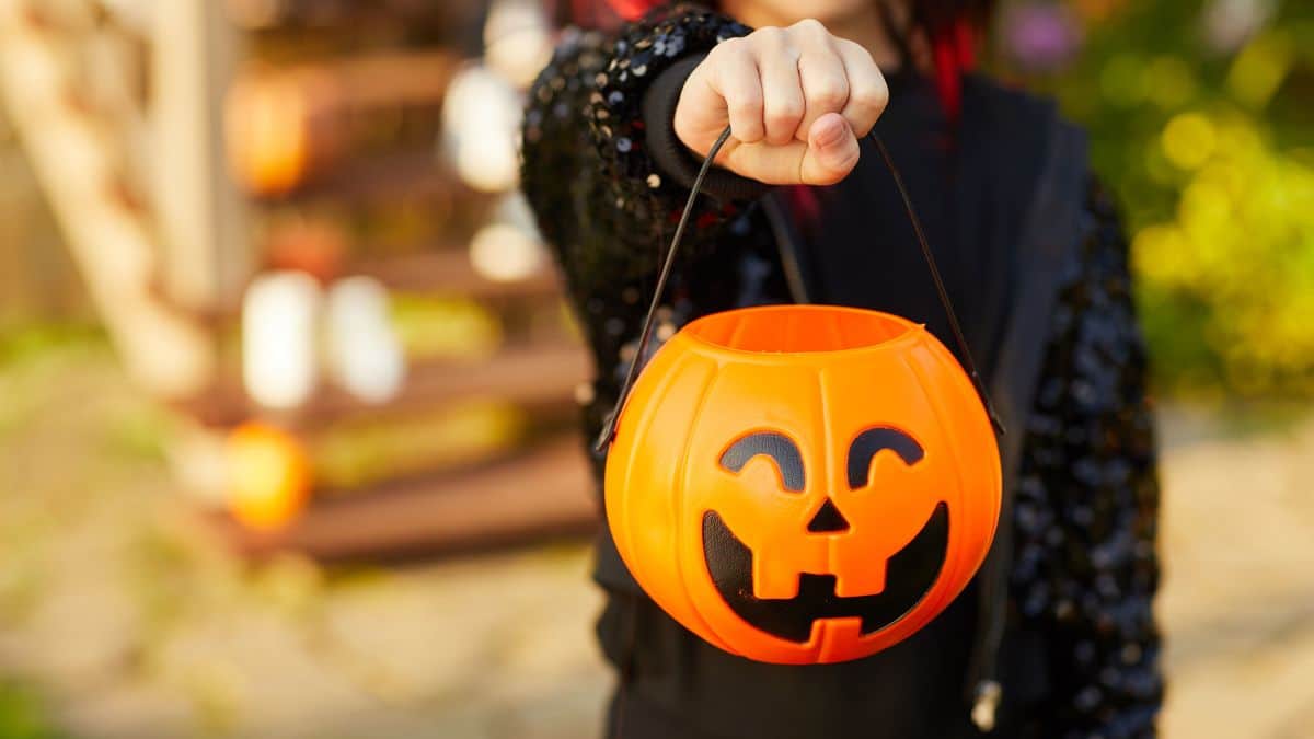 Read more about the article Find Your Favorite Tricks and Treats