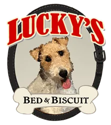 Lucky's Bed & Biscuit